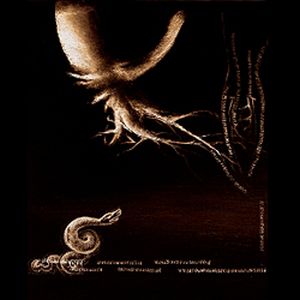 Folge Dem Wind - Thus Echoes the Earth