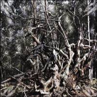 Folge Dem Wind - Hail the Pagan Age