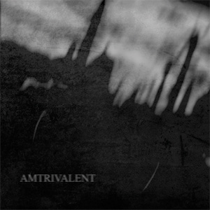Lifeless Within/ Negative Or Nothing/ Fliegend - Amtrivalent - ɥĤ